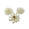 قبعات، قبعات، قبعات، أقراط، مجوهرات Item Picture